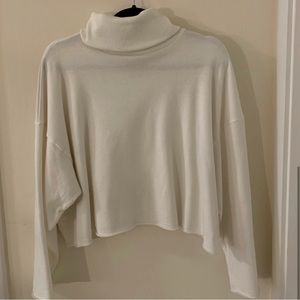 American Eagle Crop Turtleneck